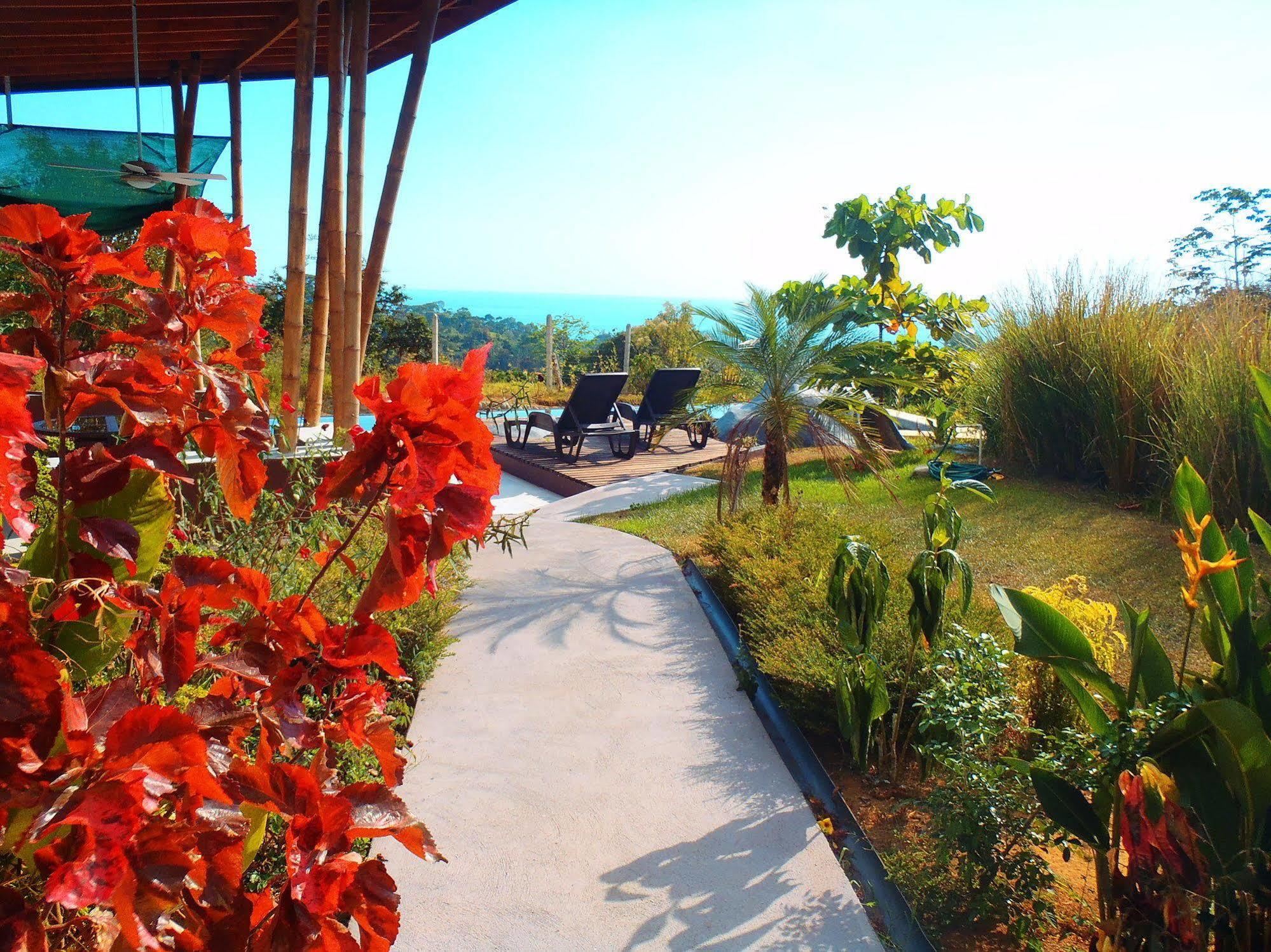 Eden Tica Lodge Uvita Εξωτερικό φωτογραφία
