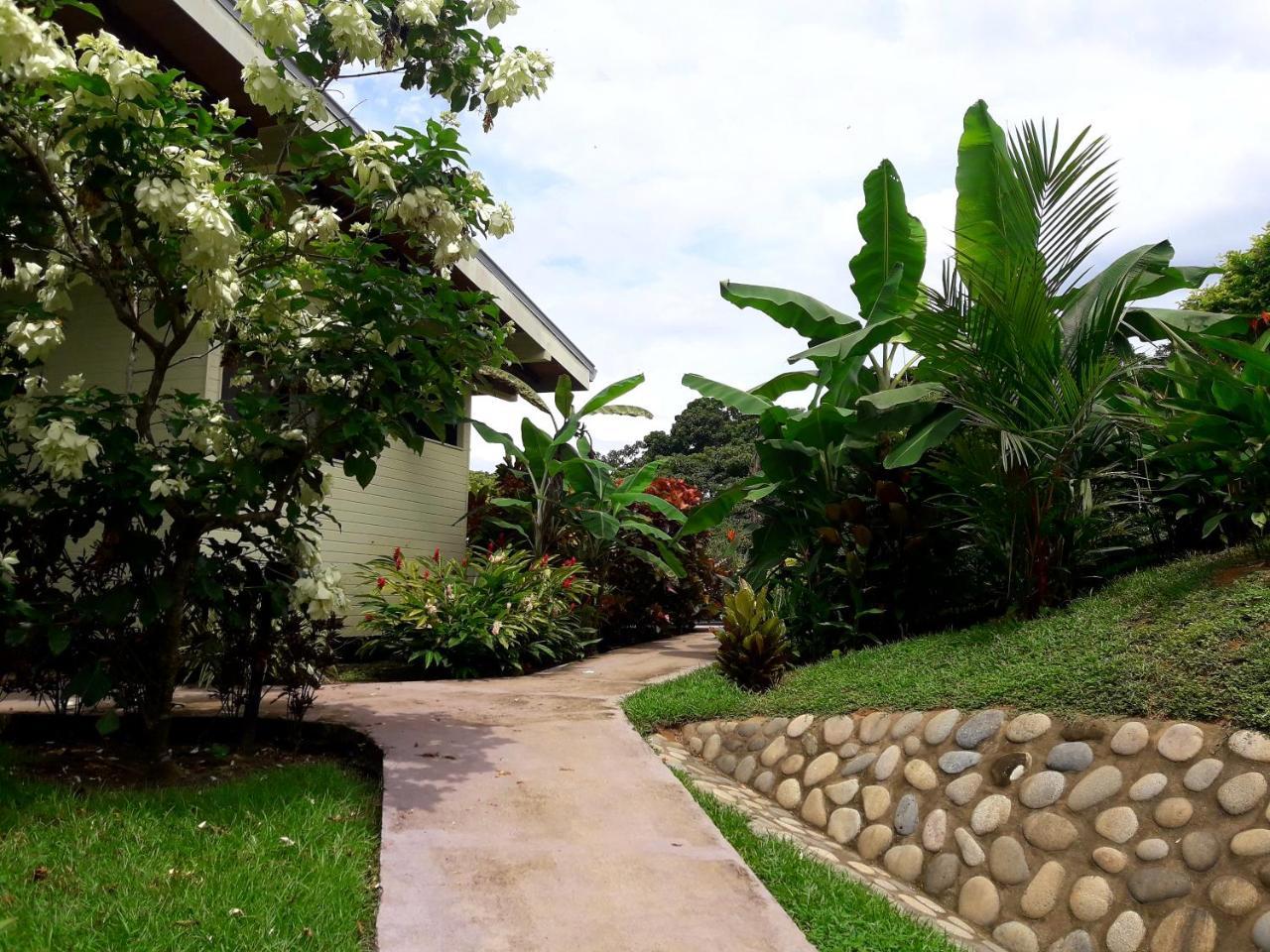 Eden Tica Lodge Uvita Εξωτερικό φωτογραφία