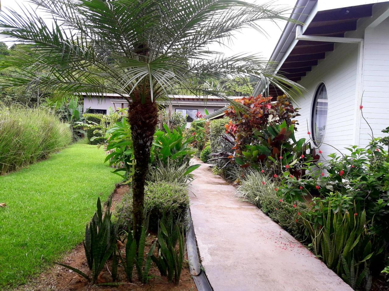 Eden Tica Lodge Uvita Εξωτερικό φωτογραφία