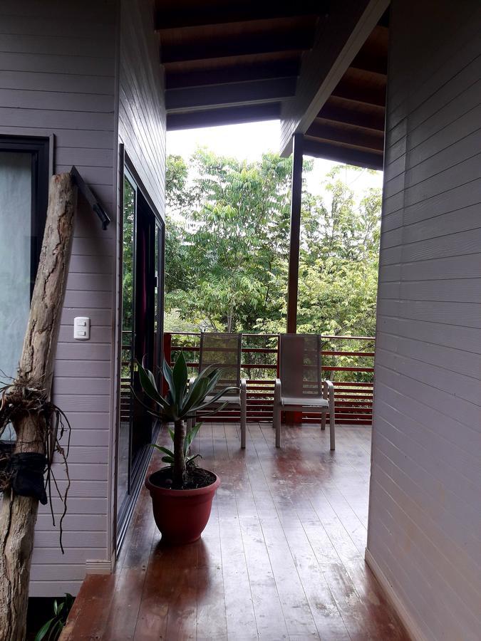 Eden Tica Lodge Uvita Εξωτερικό φωτογραφία
